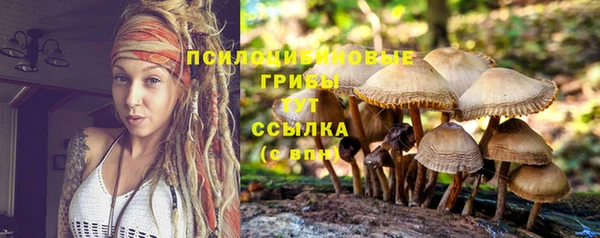 спайс Богородск
