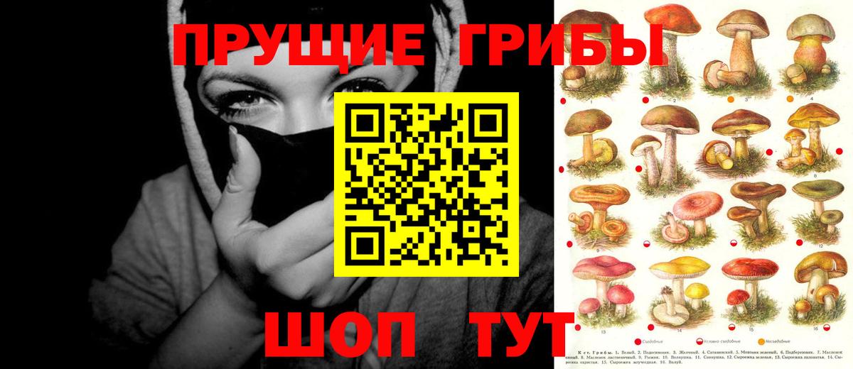 Галлюциногенные грибы MAGIC MUSHROOMS Среднеуральск